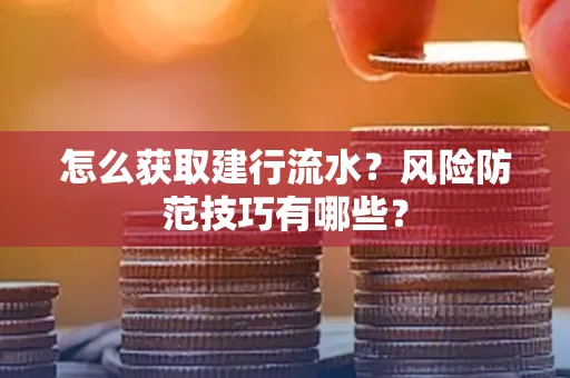 怎么获取建行流水？风险防范技巧有哪些？