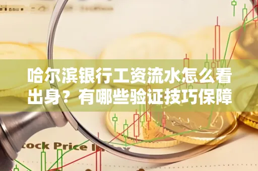 哈尔滨银行工资流水怎么看出身？有哪些验证技巧保障贷款过关？