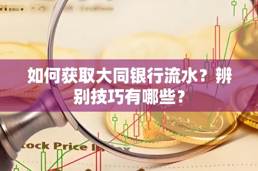 如何获取大同银行流水？辨别技巧有哪些？